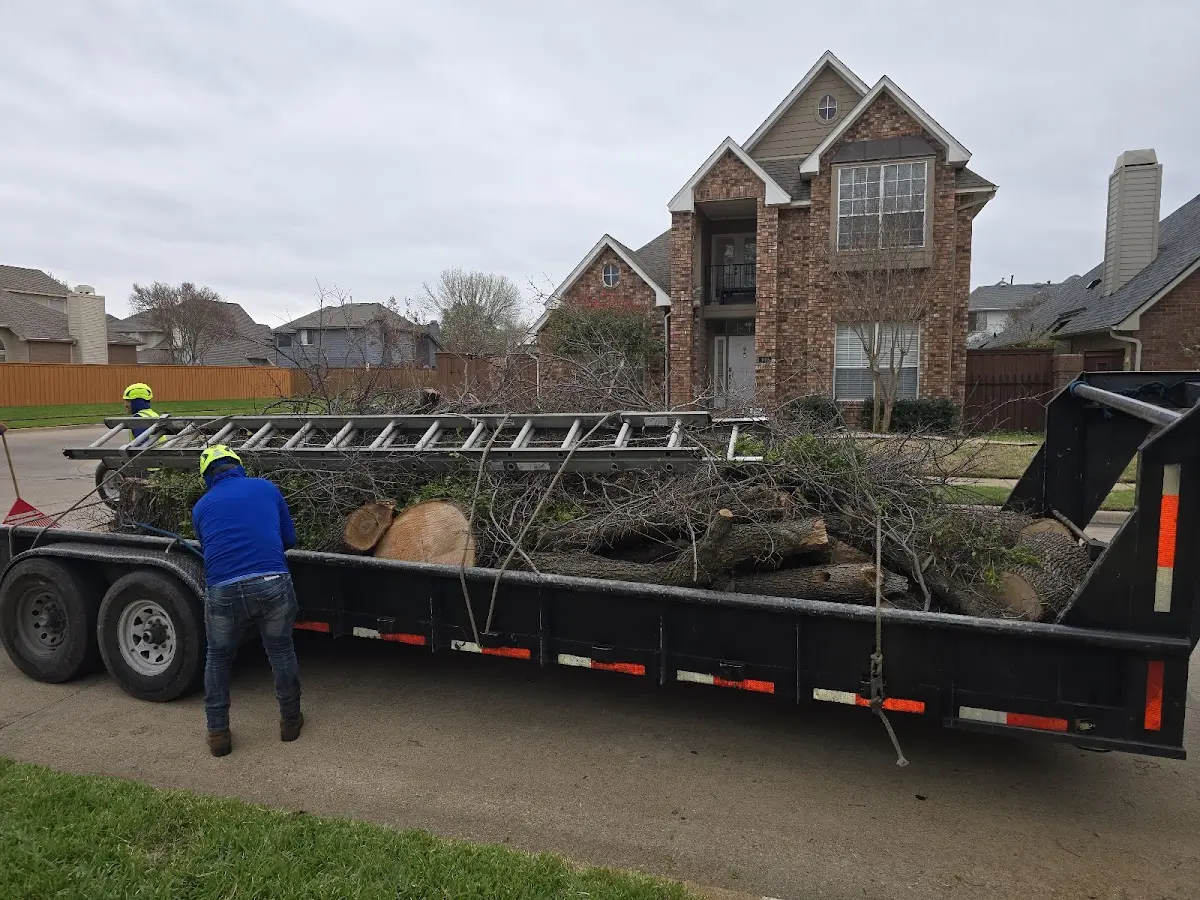 Expert Tree Pest Control with proper safety equipment in Waterford Works